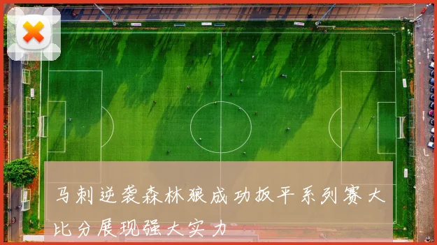 马刺逆袭森林狼成功扳平系列赛大比分展现强大实力
