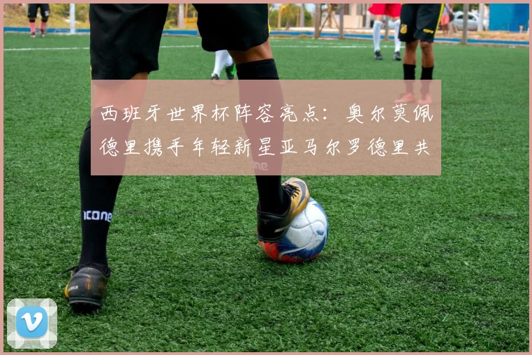 西班牙世界杯阵容亮点：奥尔莫佩德里携手年轻新星亚马尔罗德里共赴荣耀之战